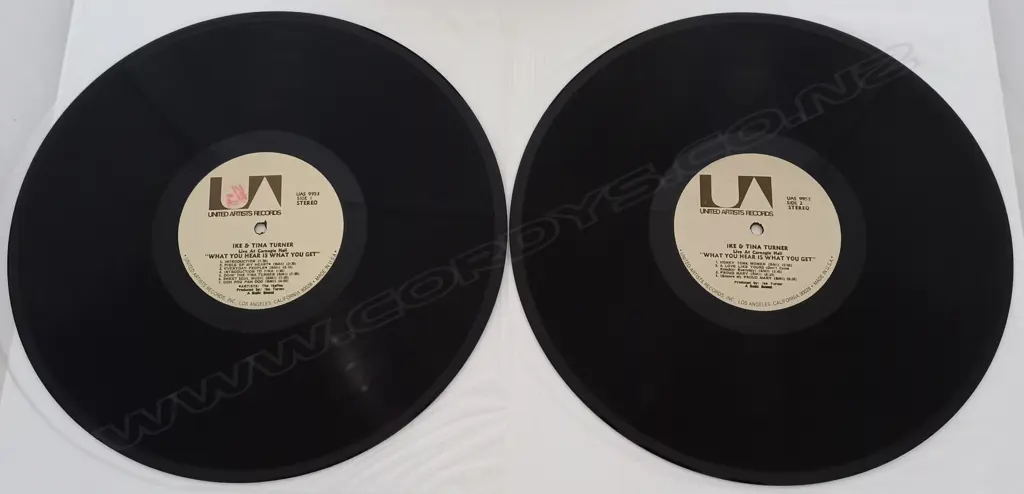 Ike & Tina Turner, What You Hear Is What You Get - Live At Carnegie Hall, (Double Album) Image 1++